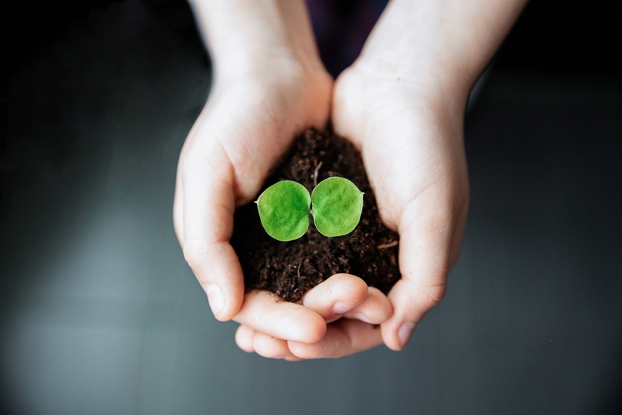 Course Image Planting the Seed: A beginner's guide to involving consumers and community members in your research