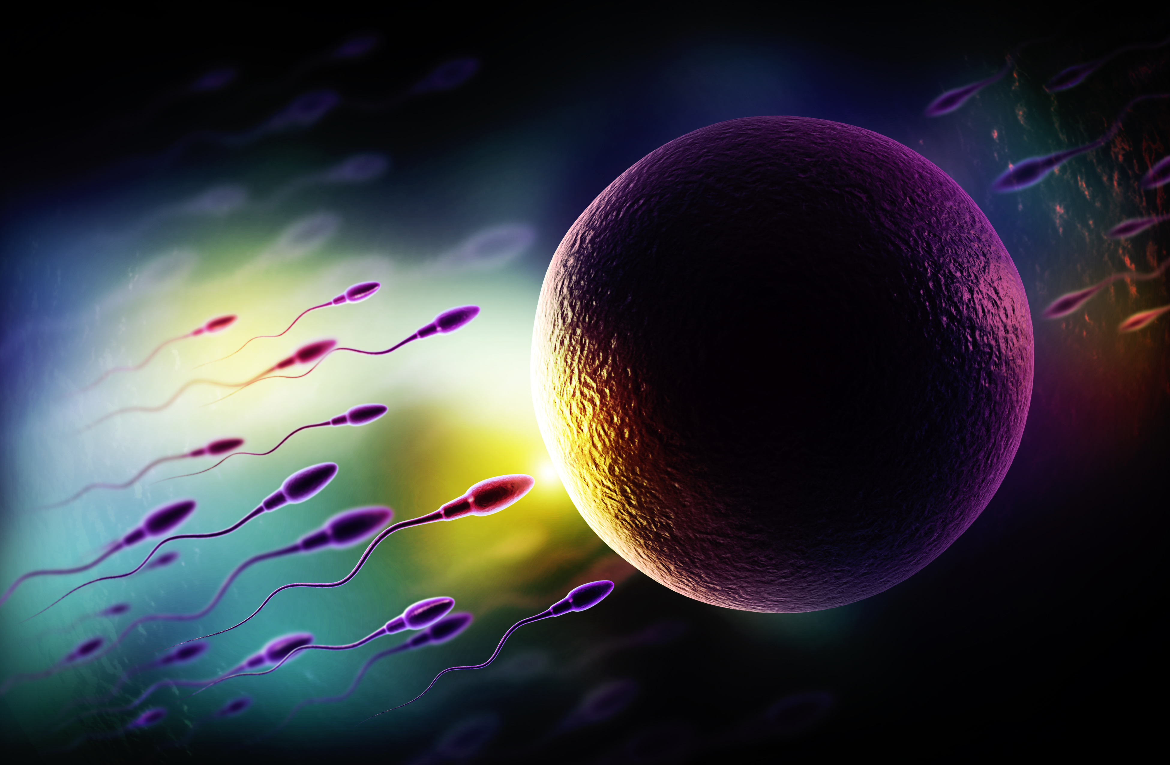 Course Image Is he really Infertile? Let's talk about sperm